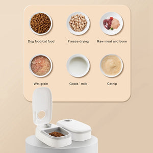 Automatic Pet Feeder – Smart Food Dispenser with Timer for Cats & Dogs