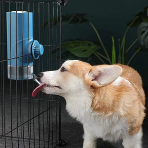 Hanging Pet Water Cup with Ball Feeder – Cage Water Drinker