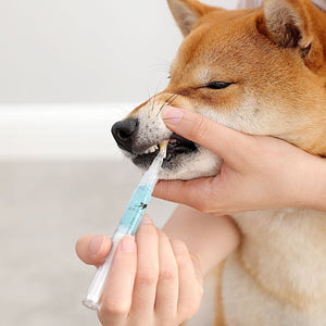 Dog & Cat Teeth Repairing and Cleaning Pen Kit