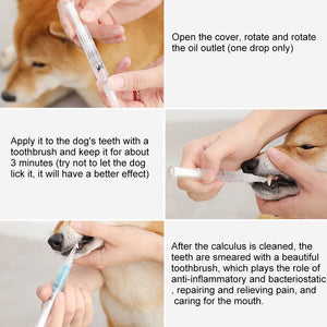 Dog & Cat Teeth Repairing and Cleaning Pen Kit